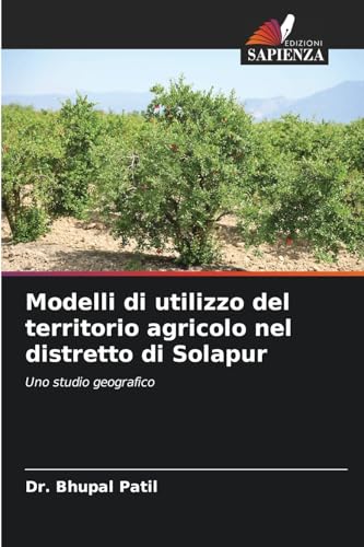 Modelli di utilizzo del territorio agricolo nel distretto di Solapur: Uno studio geografico von Edizioni Sapienza