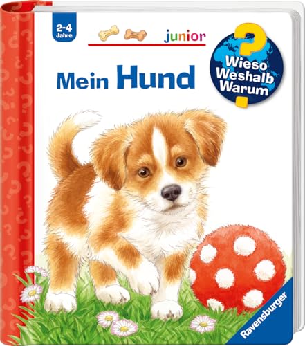 Wieso? Weshalb? Warum? junior, Band 41: Mein Hund (Wieso? Weshalb? Warum? junior, 41)