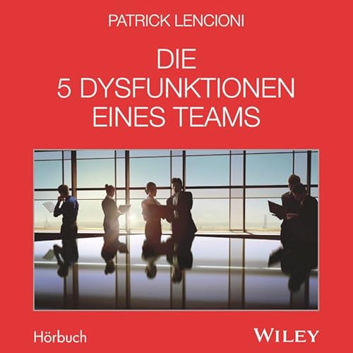 Die 5 Dysfunktionen eines Teams,Audio-CD