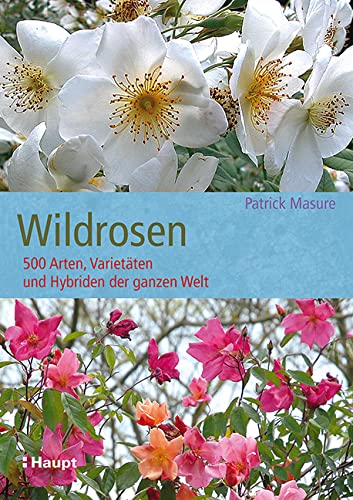 Wildrosen: 500 Arten, Varietäten und Hybriden der ganzen Welt Wildrosen: 500 Arten, Varietäten und Hybriden der ganzen Welt von Haupt Verlag AG