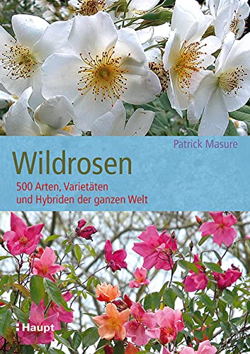 Wildrosen: 500 Arten, Varietäten und Hybriden der ganzen Welt von Haupt Verlag AG