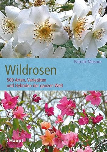 Wildrosen: 500 Arten, Varietäten und Hybriden der ganzen Welt