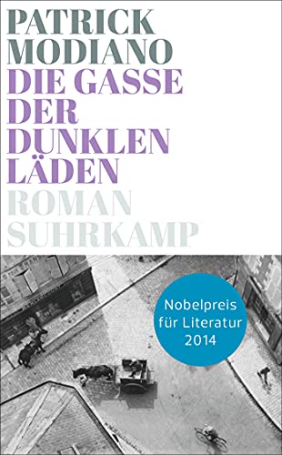 Die Gasse der dunklen Läden: Roman (suhrkamp taschenbuch)