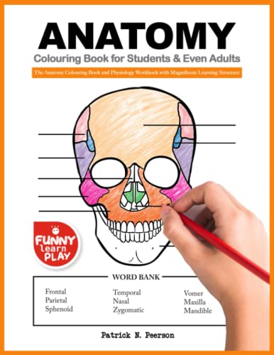 Anatomy Colouring Book for Students & Even Adults: The Anatomy Colouring Book and Physiology Workbook with Magnificent Learning Structure