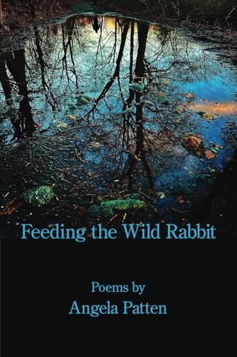 Feeding the Wild Rabbit Feeding the Wild Rabbit von Kelsay Books