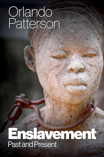 Enslavement: Past and Present von Polity