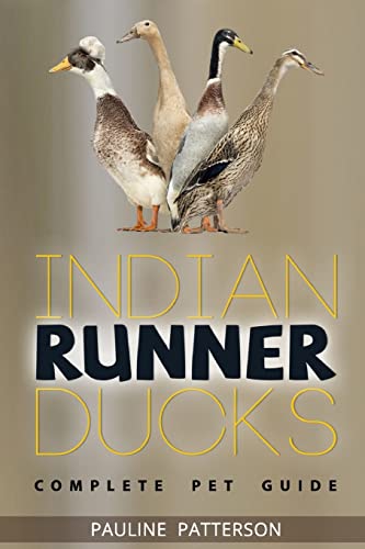Indian Runner Ducks: The Complete Owners Guide von Roc Publishing