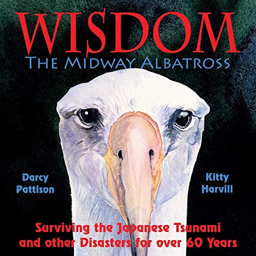 Wisdom, The Midway Albatross: Surviving the Japanese Tsunami and other Disasters for over 60 Years von Mims House