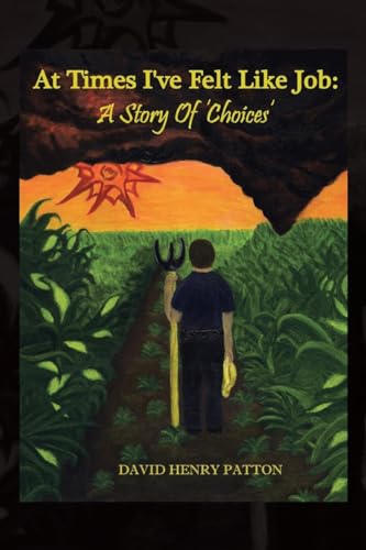 At Times I've Felt Like Job: A Story of 'Choices' von Christian Faith Publishing