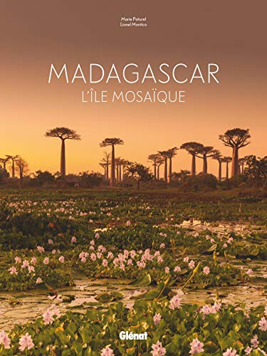 Madagascar: L'île mosaïque