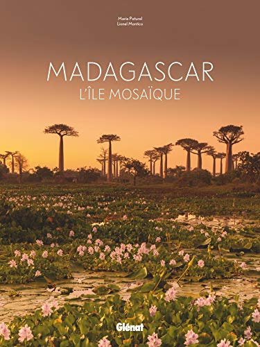 Madagascar: L'île mosaïque von Glénat Manga