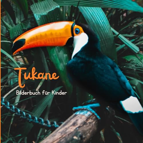 Tukane: Bilderbuch für Kinder