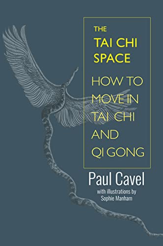 The Tai Chi Space: How to Move in Tai Chi and Qi Gong von Aeon Books