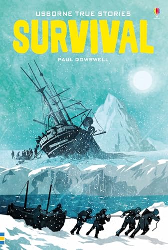 True Stories of Survival (Young Reading Series 4, Band 4)