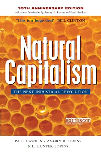 Natural Capitalism: The Next Industrial Revolution von Routledge