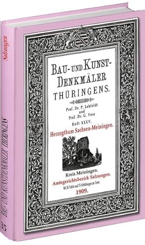 [HEFT 35] Bau- und Kunstdenkmäler Thüringens: Amtsgerichtsbezirk SALZUNGEN 1909 von Rockstuhl Verlag