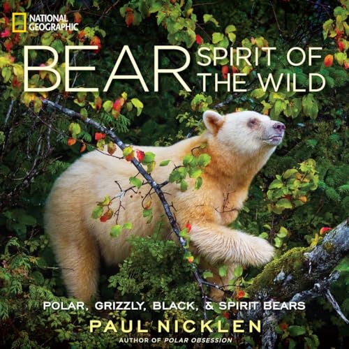 Bear: Spirit of the Wild von National Geographic