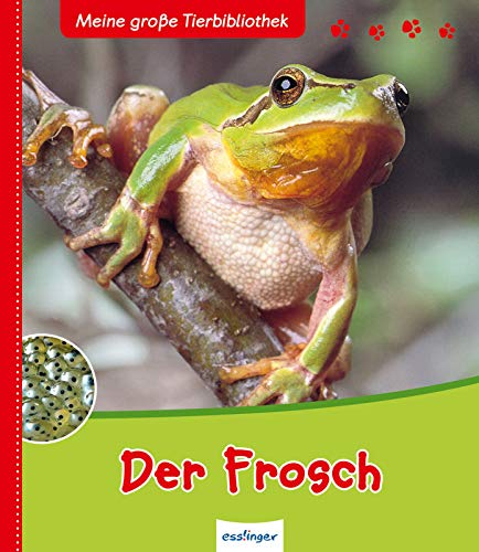 Meine große Tierbibliothek: Der Frosch