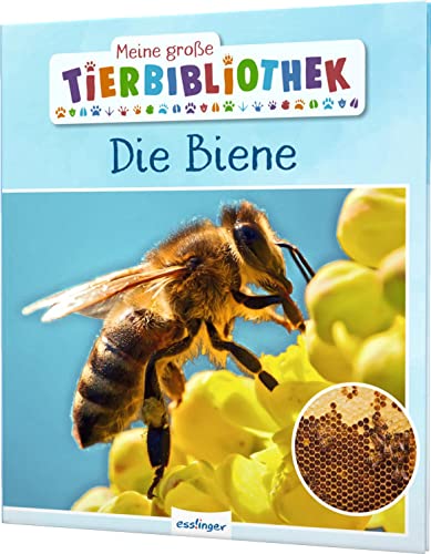 Meine große Tierbibliothek: Die Biene: Sachbuch für Vorschule & Grundschule