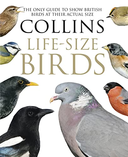 Collins Life-Size Birds: The Only Guide to Show British Birds at their Actual Size von HarperCollins Publishers