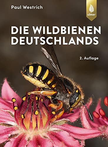 Die Wildbienen Deutschlands von Ulmer Eugen Verlag