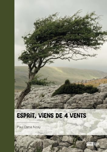 Esprit, viens de 4 vents von Publibook