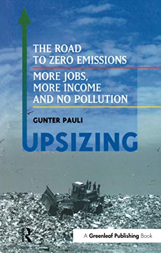 UpSizing: The Road to Zero Emissions, More Jobs, More Income and No Pollution von Routledge