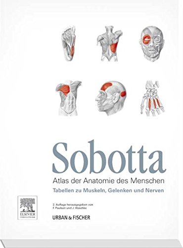 Sobotta Tabellen zu Muskeln, Gelenken und Nerven: Tabellen passend zur 23. Aufl. des Sobotta-Atlas Sobotta Tabellen zu Muskeln, Gelenken und Nerven: Tabellen passend zur 23. Aufl. des Sobotta-Atlas