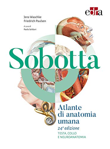 Sobotta. Atlante di anatomia umana. Testa, collo e neuroanatomia Sobotta. Atlante di anatomia umana. Testa, collo e neuroanatomia von Edra
