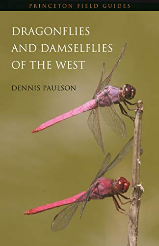 Dragonflies and Damselflies of the West (Princeton Field Guides) von Princeton University Press