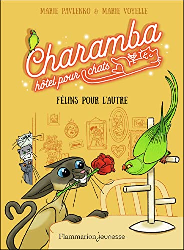 Charamba, hôtel pour chats - Félins pour l'autre