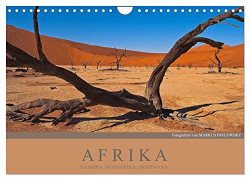Afrika Impressionen. NAMIBIA - SÜDAFRIKA - BOTSWANA (Wandkalender 2024 DIN A4 quer), CALVENDO Monatskalender