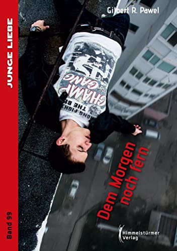 Dem Morgen noch fern: Jonas & Mike 3 von Himmelstrmer Verlag