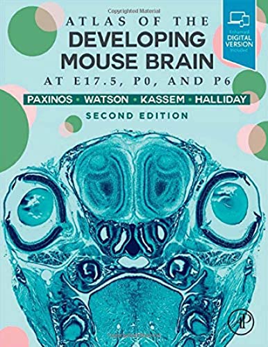 Atlas of the Developing Mouse Brain von Academic Press