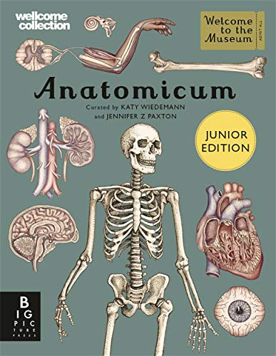Anatomicum Junior von BONNIER