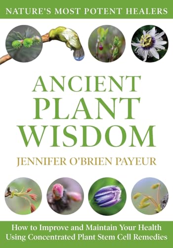 Ancient Plant Wisdom: How to Improve and Maintain Your Health Using Concentrated Plant Stem Cell Remedies von Gatekeeper Press