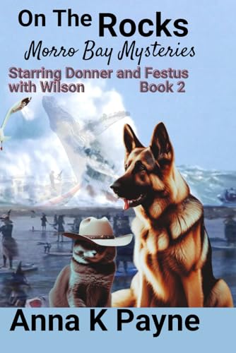 On The Rocks (Morro Bay Mysteries, Band 2) von Independently published