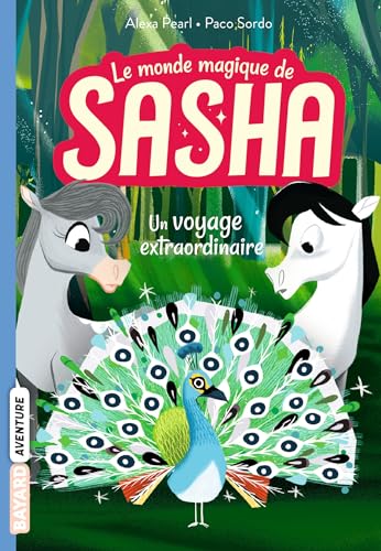Le monde magique de Sasha, Tome 02: Un voyage extraordinaire