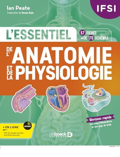 IFSI - L'essentiel de l’anatomie et de la physiologie humaines en fiches: 57 fiches - Plus de 170 illustrations von DE BOECK SUP