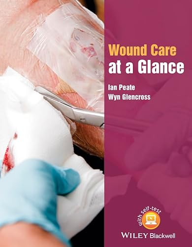 Wound Care at a Glance (Wiley Series on Cognitive Dynamic Systems)