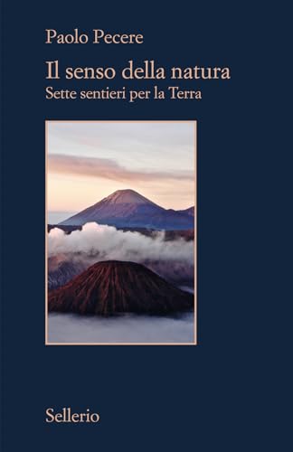 Il senso della natura. Sette sentieri per la Terra (Il contesto) von Sellerio Editore Palermo