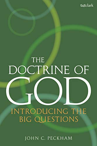 Doctrine of God, The: Introducing the Big Questions von T&T Clark