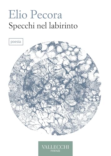 Specchi nel labirinto (Poesia) von Vallecchi Firenze