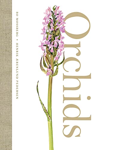 Orchids von William Collins