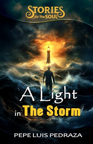 A Light in The Storm (Stories for The Soul) von Independently published