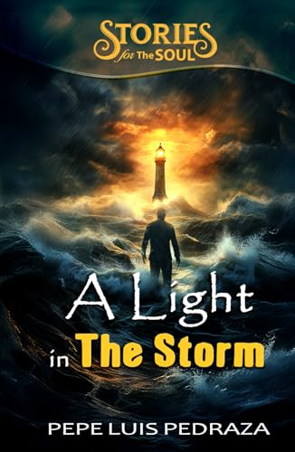 A Light in The Storm (Stories for The Soul) von Independently published