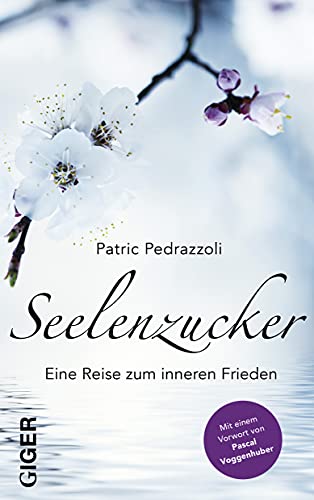 Seelenzucker: Eine Reise zum inneren Frieden und in das Innerste deiner Seele. Mit Vorwort von Pascal Voggenhuber