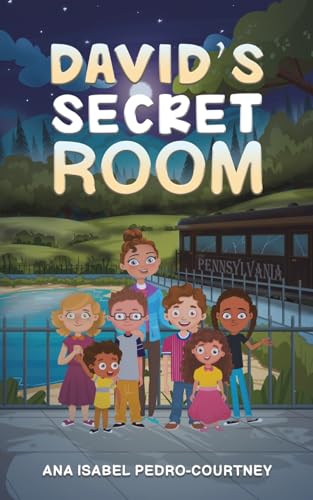 David’s Secret Room von Austin Macauley Publishers