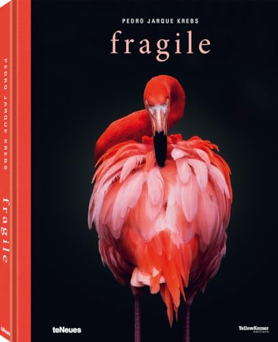 Fragile: Pedro Jarque Krebs (Photographer)