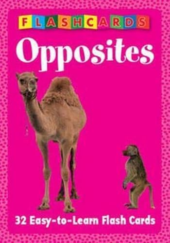 Pegasus: Opposites - Flash Cards